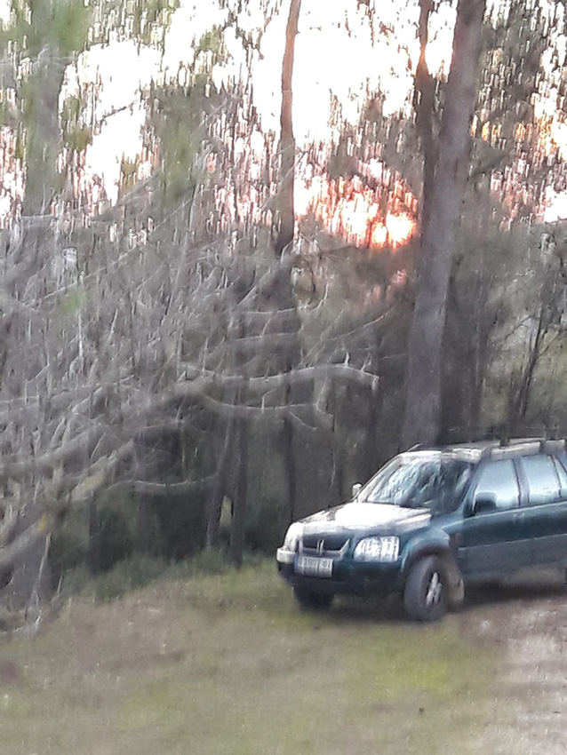 Calçotada 2019 (52)